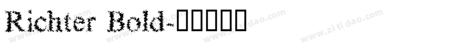 Richter Bold字体转换